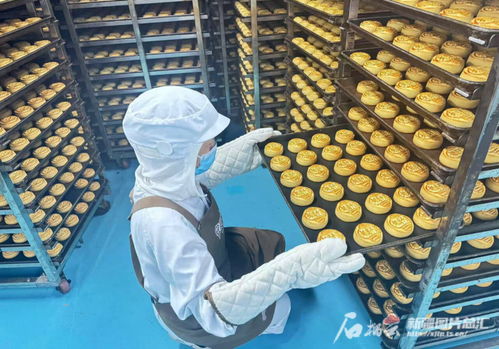 中秋佳節(jié)將至，烏魯木齊食品與羽絨制品企業(yè)雙線并進迎忙季